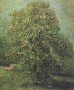Vincent Van Gogh, Chestnut Tree in Blosson (nn04)